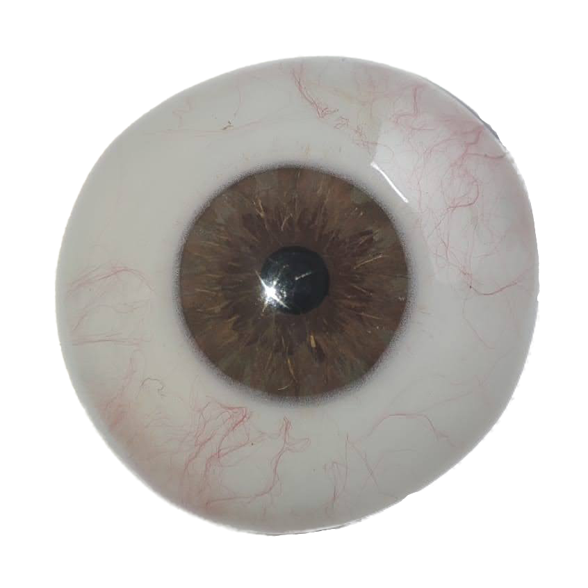 Prothèse Oculaire Prothésistes Oculaires à Caen LCS